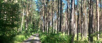 Gródek ↔ Spławie