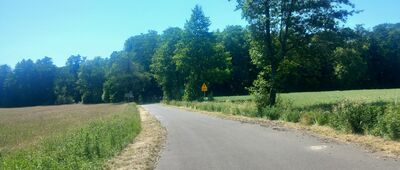 Cisiny ↔ Rezerwat Cisy Staropolskie im. Leona Wyczółkowskiego