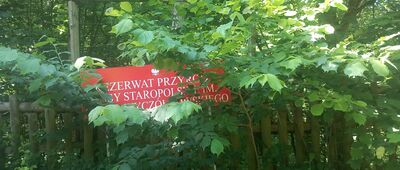 Rezerwat Cisy Staropolskie im. Leona Wyczółkowskiego