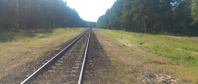 Stary Wierzchucin ↔ Skrzyżowanie szlaków