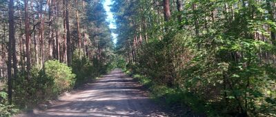 Wierzchucin, przejazd kolejowy ↔ Skrzyżowanie szlaków