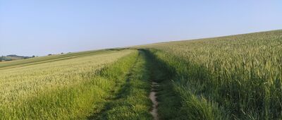 Bobowa ↔ Falkowa, skrzyżowanie szlaków