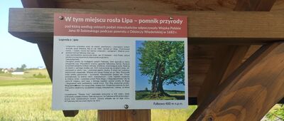 Pod Falkową ↔ Falkowa, skrzyżowanie szlaków