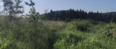 Jamna, skrzyżowanie szlaków ↔ Pod Jamną, skrzyżowanie szlaków