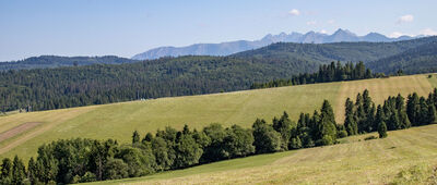Łapsze Niżne ↔ Pod Holowcem (Kopylcem)
