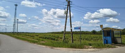 Góry Pęchowskie [Tu szlak powinien skręcać. Żadnych oznakowań]