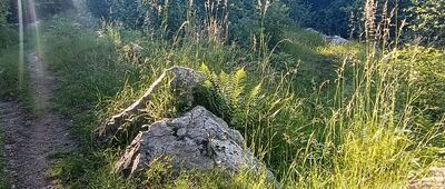 Wymyślona