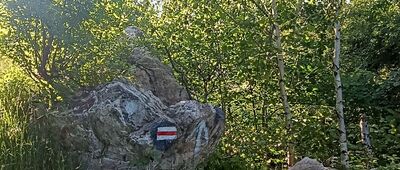 Wymyślona