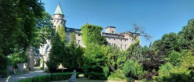 Zamek Leśna
