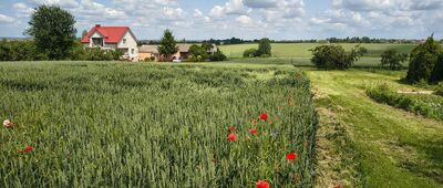 Góry Pęchowskie ↔ Zakrzów [Kolonia Zakrzów]