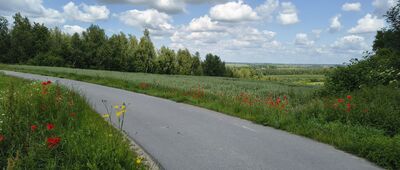 Góry Pęchowskie ↔ Zakrzów