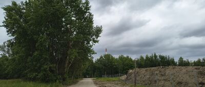 Tarnobrzeg, pomnik pamięci ofiar katastrofy lotniczej