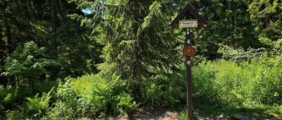 Rozejście szlaków pod Mogielicą
