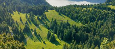 Malý Rozsutec [Z Maly Rozsutec w stronę Tatr - widok na przełęcz Medzyrozsutce]