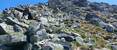 Świnicka Przełęcz ↔ Pod Świnicą