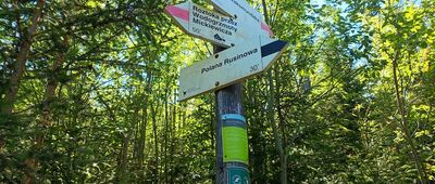 Polana Pod Wołoszynem