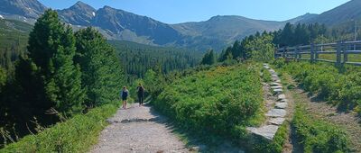 Hala Gąsienicowa, Stacja IMGW