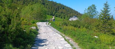 Hala Gąsienicowa, Stacja IMGW