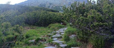 Dolina Pięciu Stawów Polskich, Zagon Niżni ↔ Siklawa