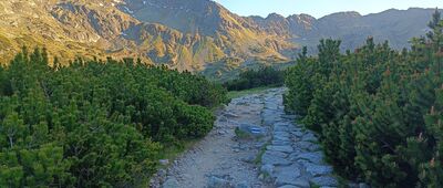 Dolina Pięciu Stawów Polskich, Zagon Niżni