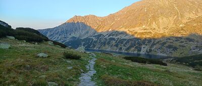 Tablica S. Bronikowskiego