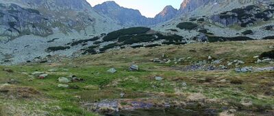 Tablica S. Bronikowskiego