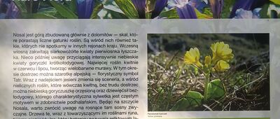 Szlak na Nosal, kasa