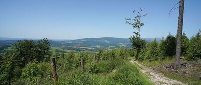 Mravenčí vrch ↔ Bernartice