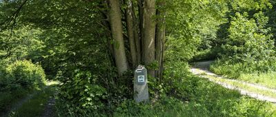 Skrzyżowanie szlaków czerwony / czarny [Skrzyżowanie szlaków]