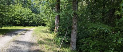 Młynki ↔ Wyspowo [Stare i odświeżone oznaczenie szlaku]