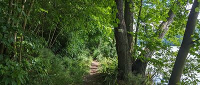 Jezioro Zduńskie ↔ Szpęgawsk [Jezioro Szpęgawskie]