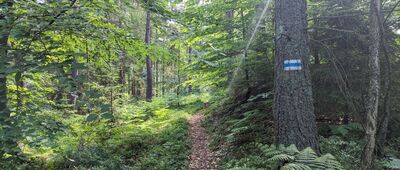 Jezioro Karczemne, pomnik rybaka ↔ Skrzyżowanie