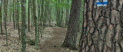 Babi Dół, stacja kolejowa ↔ Most na Raduni [Rezerwat Jar Rzeki Raduni]