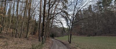 Szymbark ↔ Gołubie [Gołubie]