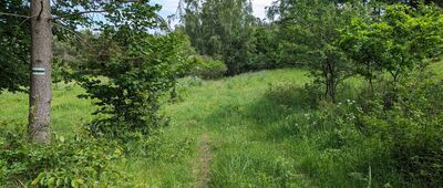 Pręgowo, ul. Strażacka ↔ Jezioro Przywidzkie [Miejscami szlak jest zarośnięty]