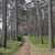 Park Narodowy Bory Tucholskie