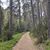 Park Narodowy Bory Tucholskie