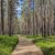 Park Narodowy Bory Tucholskie