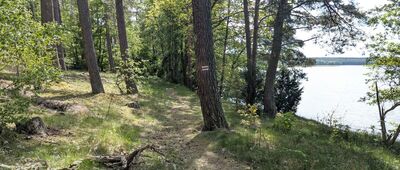 Stary Młyn ↔ Bachorze, leśniczówka [Jezioro Charzykowskie]