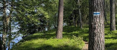 Jezioro Dybrzk ↔ Męcikał, tory kolejowe [Piękny fragment szlaku przy Jeziorze Dybrzk]