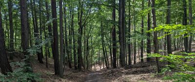 Zbychowo ↔ Rumia, Zagórze