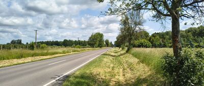 Kopina, Rezerwat "Jezioro Świerszczów" ↔ Cyców