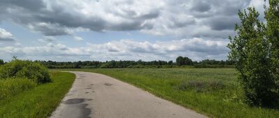 Wólka Nadrybska ↔ Ostrów Nadrybski