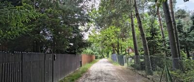 Jezioro Uściwierz ↔ Ostrów Nadrybski