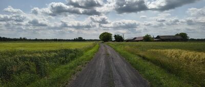 Czarny Las ↔ Kaniwola