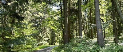 Traťovka ↔ Pod Kamencem