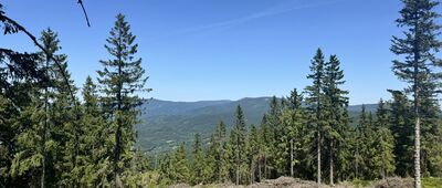 Kamenec, rozc. ↔ Kamenný vrch