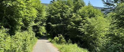 Pod Obřími skalami