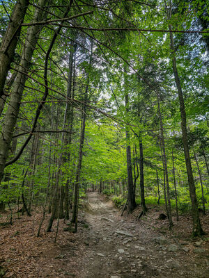 Czerwony szlak na Lubomir