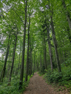Czerwony szlak na Lubomir